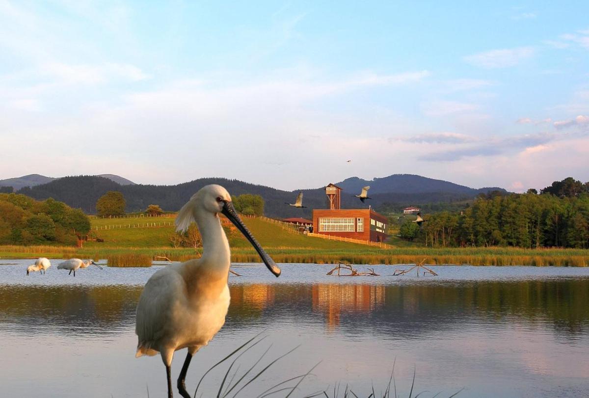 فيلا Adosado En La Costa Con Excelentes Vistas Al Estuario De Urdaibai مونداكا المظهر الخارجي الصورة